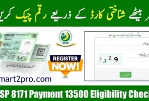 BISP 8171 Web Portal Payment Check Online